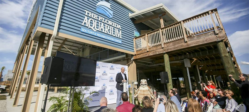 Aquarium de Florida abre centro de rehabilitación para tortugas