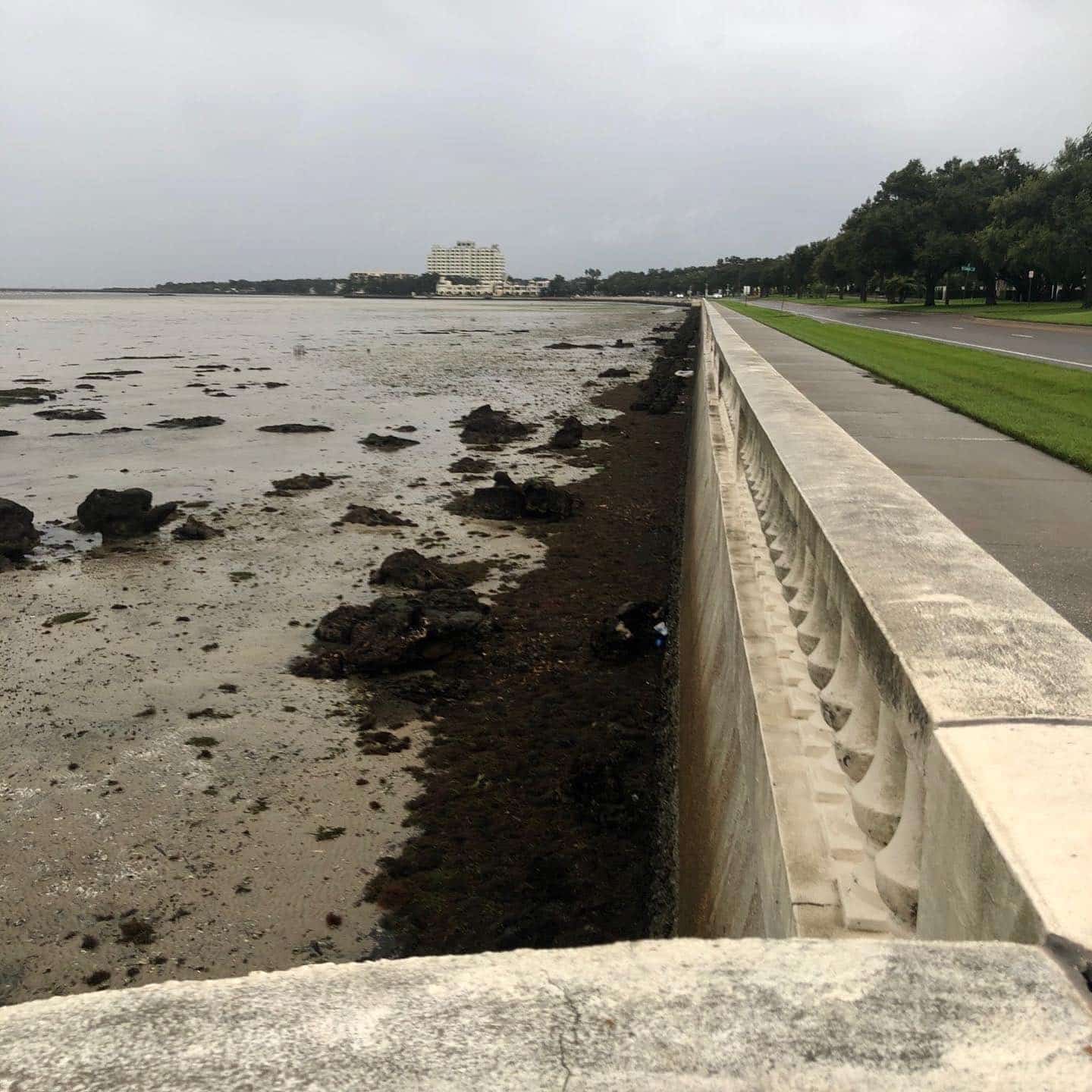 Agua retrocede en Tampa tras llegada del Huracán Ian a Florida
