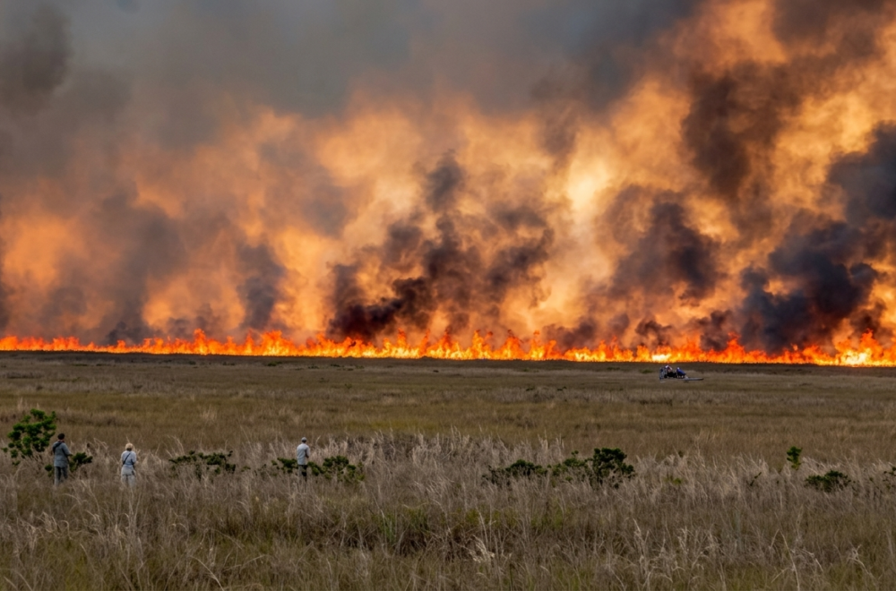 Incendios forestales consumen más de 5,000 acres en los Everglades y cubren de humo el sur de Florida
