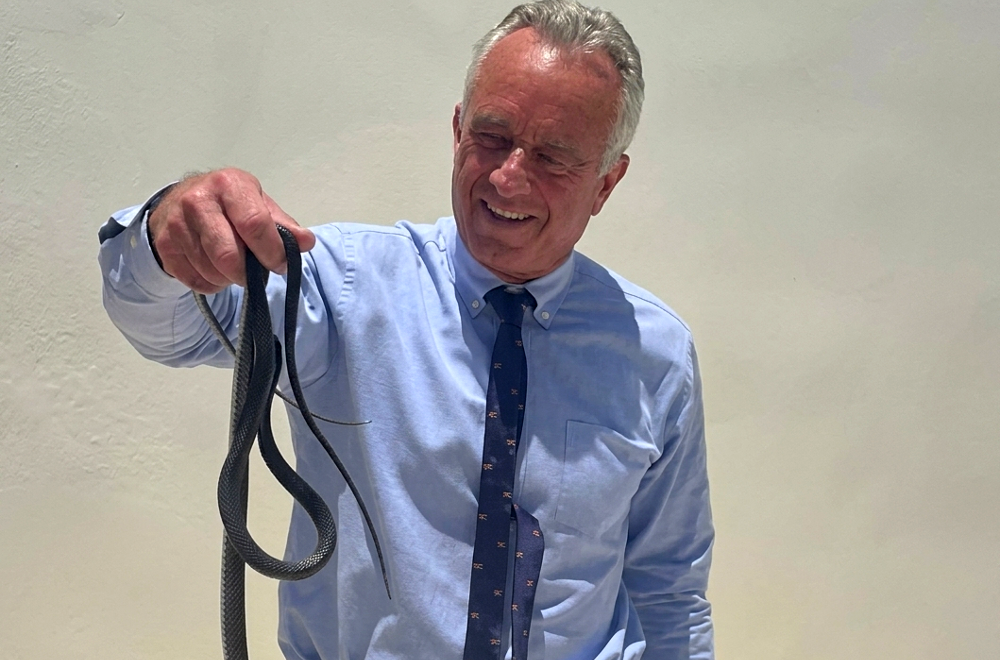 Una lo mordió: Robert F. Kennedy Jr. atrapa con sus manos dos serpientes en Florida