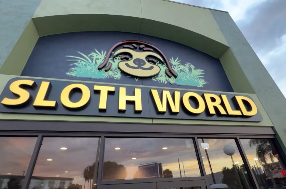Sloth World Orlando: nuevos registros elevan a 55 los perezosos muertos