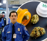 La TSA ya permite viajar con marihuana medicinal en vuelos dentro de EE.UU.