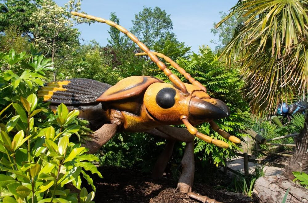 El Zoo Miami se transforma en un mundo de insectos gigantes con ‘Bugtopia’