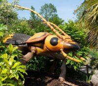 El Zoo Miami se transforma en un mundo de insectos gigantes con ‘Bugtopia’