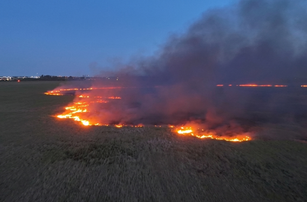 Fuera de control: incendio forestal arrasa más de 2.200 acres en Broward