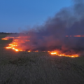 Fuera de control: incendio forestal arrasa más de 2.200 acres en Broward