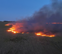 Fuera de control: incendio forestal arrasa más de 2.200 acres en Broward