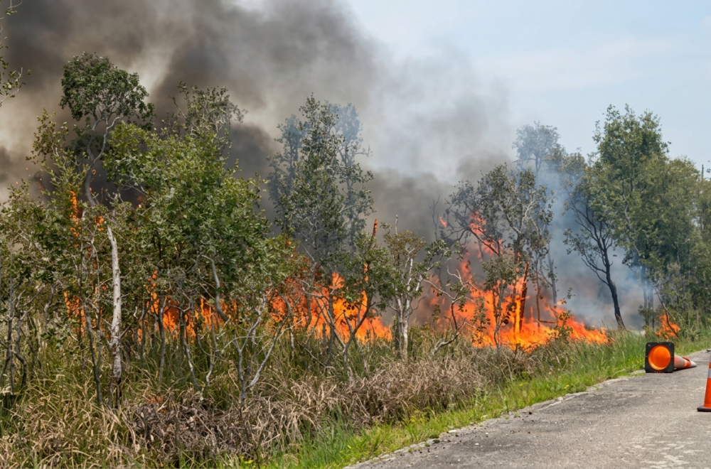 Alerta en Miami-Dade: más de 20.000 acres arden por tres incendios forestales