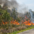 Alerta en Miami-Dade: más de 20.000 acres arden por tres incendios forestales