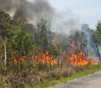 Alerta en Miami-Dade: más de 20.000 acres arden por tres incendios forestales