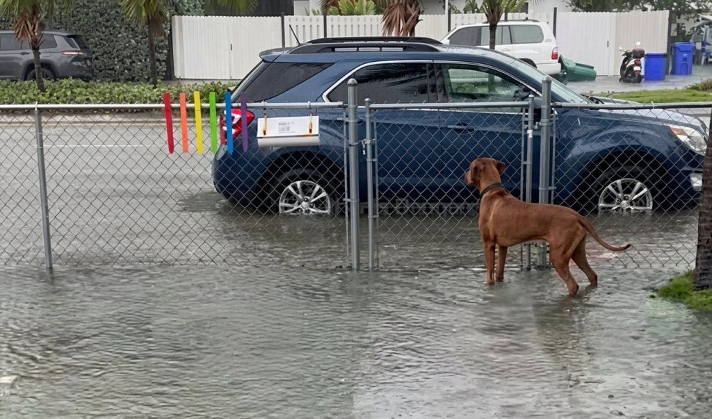 Inundaciones Key West