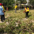 “Limpio porque me importa”: Voluntarios se unen para retirar desechos del Miami River
