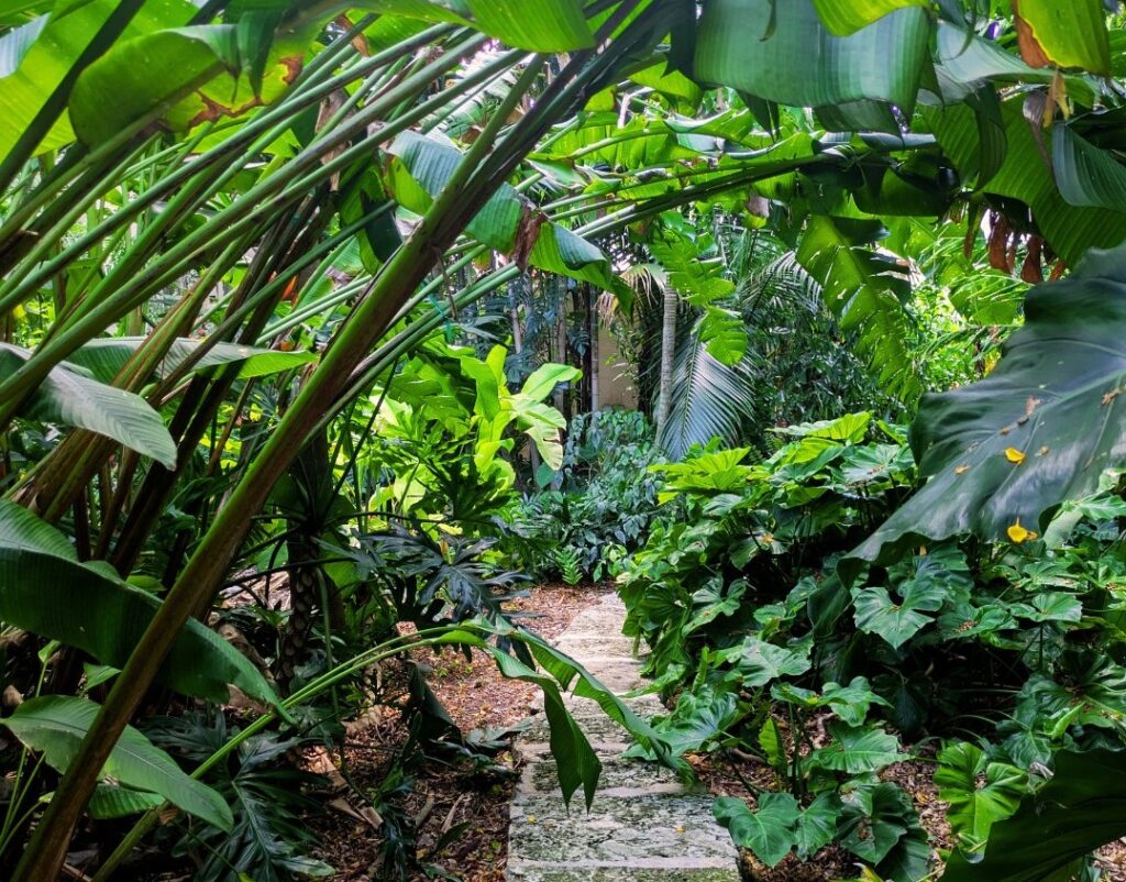 The Kampong