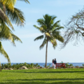 The Kampong: el jardín secreto en Coconut Grove que está a un paso del mar