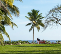 The Kampong: el jardín secreto en Coconut Grove que está a un paso del mar