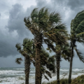 Tormenta Bertha cobra fuerza y activa advertencias en Florida