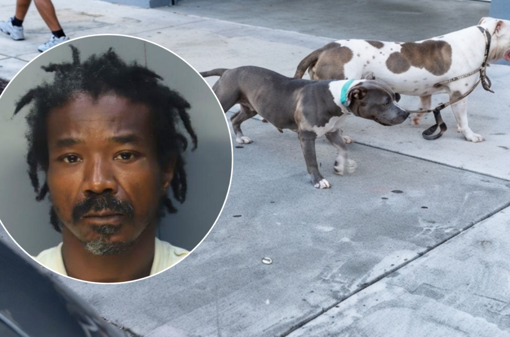 Arrestan a dueño de pitbulls tras brutal ataque contra hombre y su mascota en Wynwood