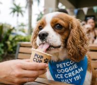Helado gratis para perritos: la imperdible promoción de Petco
