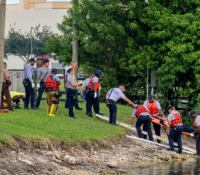 Salvaron de morir ahogados a una mujer y su perro en lago de Miami Lakes