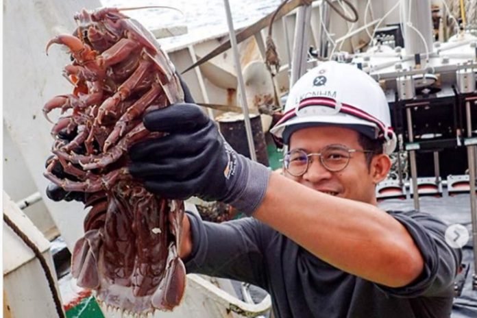 La cucaracha marina gigante encontrada en el océano