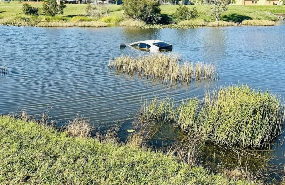 Saltaron a estanque lleno de caimanes para salvar a un hombre en Port St. Lucie