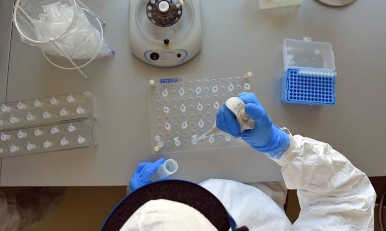 Científicos investigan si vacuna triple viral contrarresta efectos severos del coronavirus