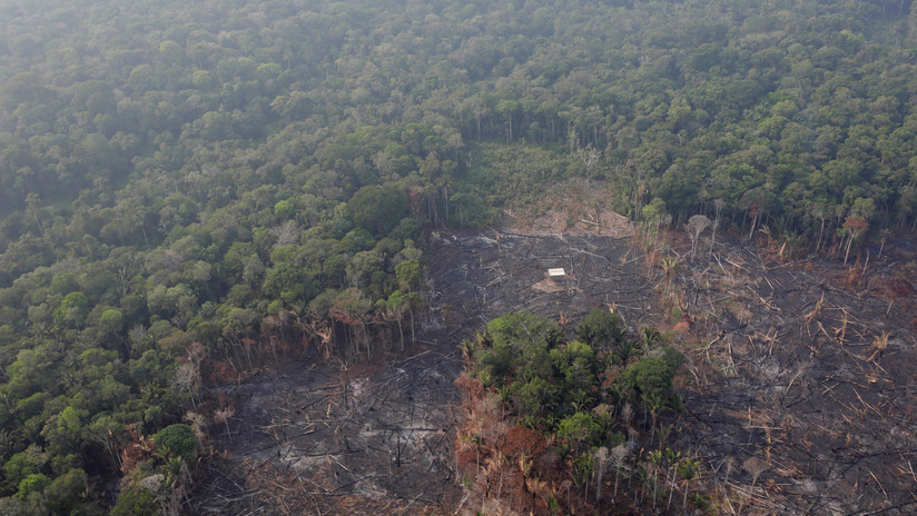 ¿Por qué arde la Amazonía?
