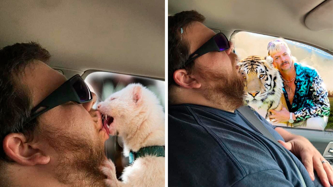 Un hombre se duerme en el auto y su esposa lo convierte en protagonista de divertidos memes (FOTOS)
