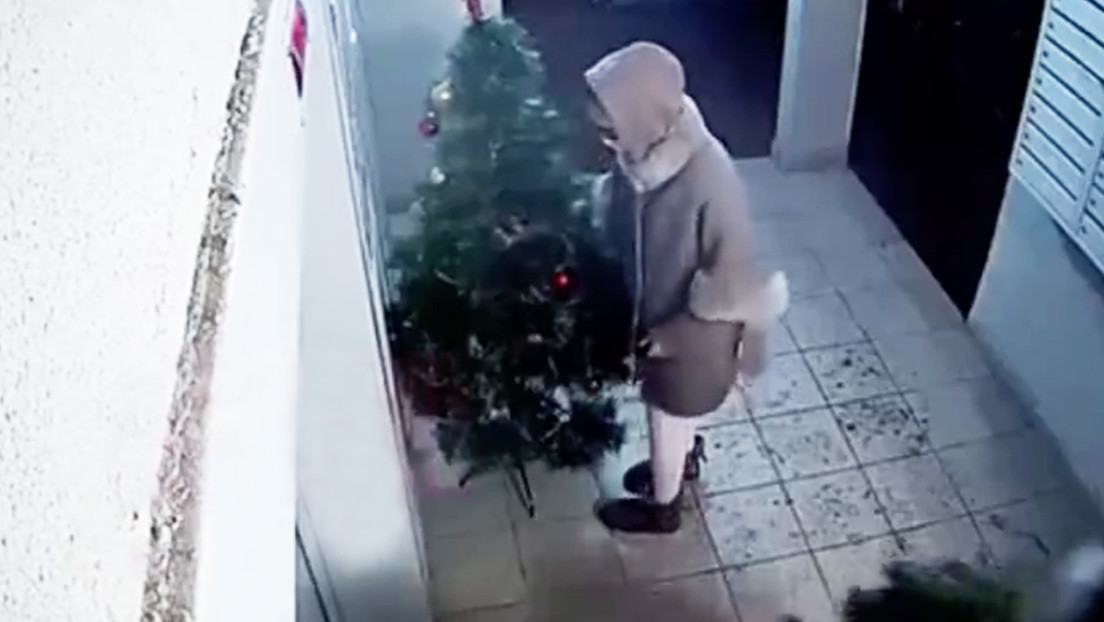 ¡Insólito robo! En Rusia se llevaron árbol de Navidad de un edificio y dejaron otro más pequeño +Vídeo