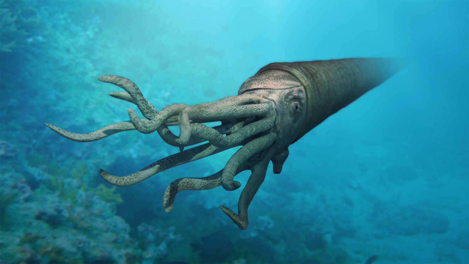 Encuentran un calamar gigante prehistórico fosilizado y este venía con una sorpresa (FOTOS)
