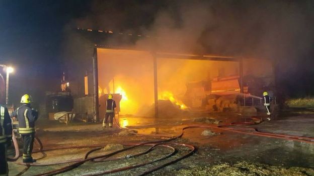 Incendio en un establo en Wellington provocó la muerte de tres caballos