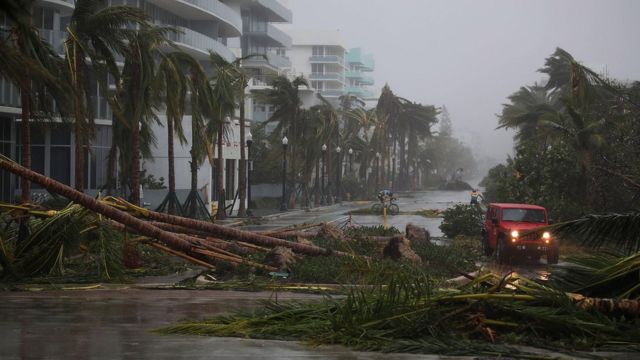 “Florida, estado de emergencia” busca estremecer la conciencia ambiental de los floridanos