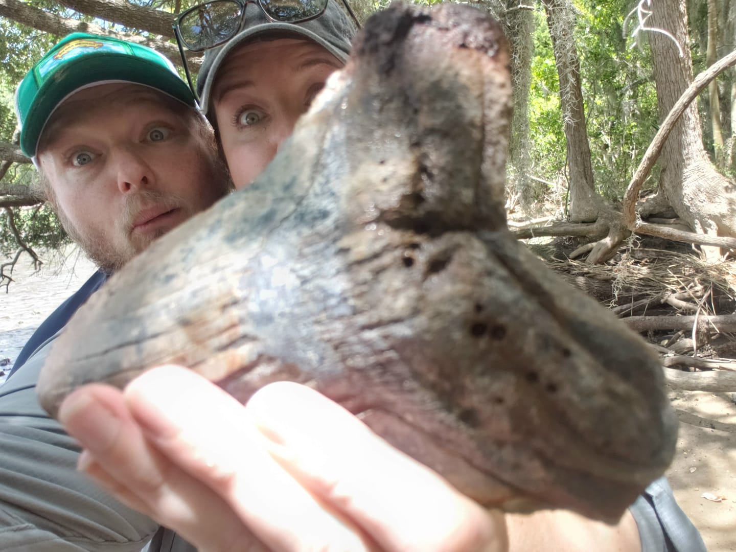 Mujer encuentra diente gigante de megalodón en la orilla de un río (FOTOS + VIDEO)