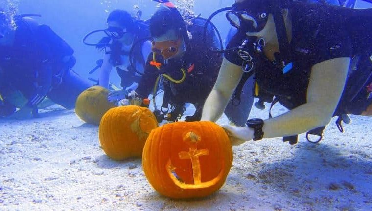 ¿Extraña tradición? Buzos tallan calabazas en Halloween sumergidos en los Cayos de Florida