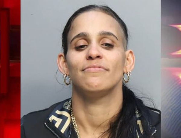Arrestan a cubana en Miami con más de 29 tarjetas de crédito robadas