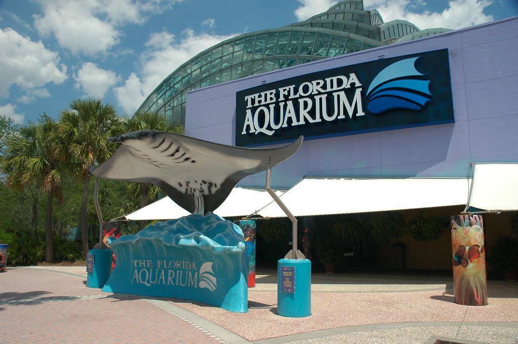 El acuario de Florida reabrirá nuevamente al público el próximo 15 de mayo
