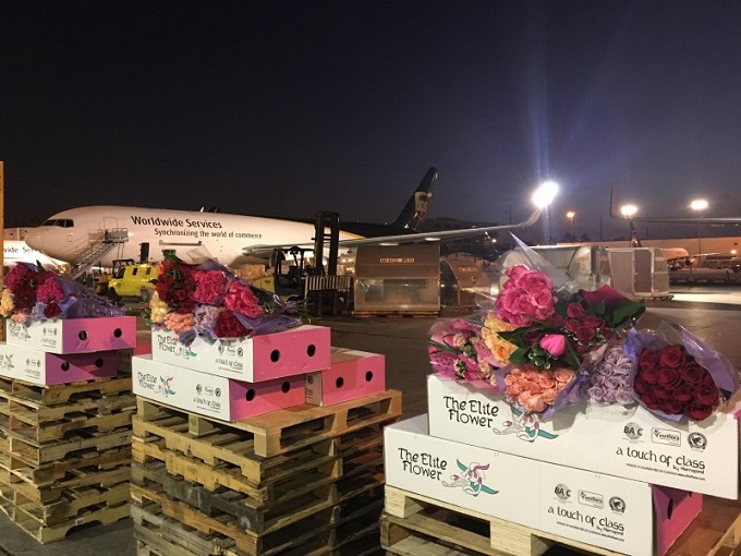 Aeropuerto de Miami se convirtió  en la principal entrada de flores para San Valentín
