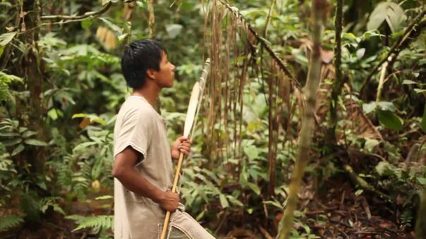 Facebook combate venta ilegal de tierras en la Amazonía