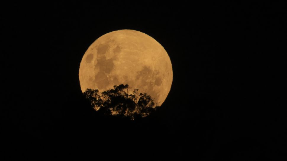 Así se vio el eclipse lunar de superluna de sangre en todo el mundo (+Fotos)