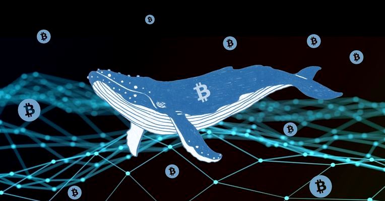 La Ballena del Bitcoin detalla el plan de juego de las criptomonedas