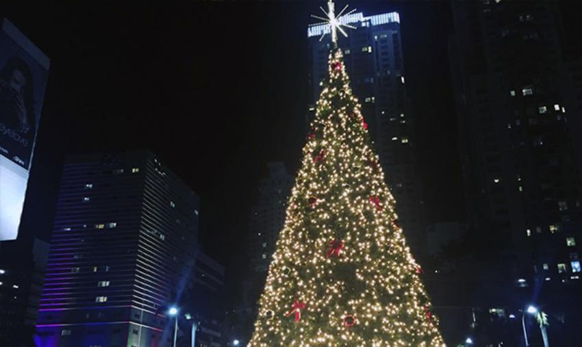 Llegó la temporada a navideña a Miami con el encendido del árbol de Bayfront Park