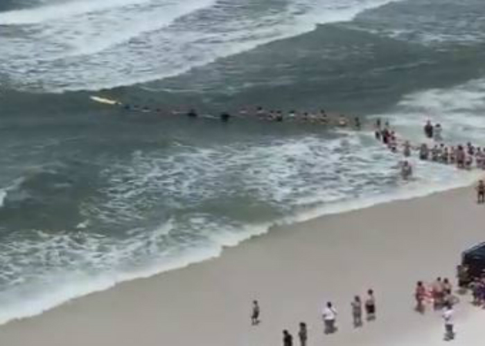 Visitantes en playa de Florida formaron cadena humana para rescatar a un nadador (VIDEO)