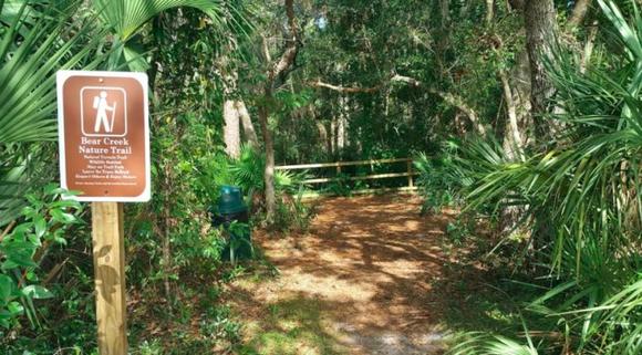 Bear Creek de Florida: Un magnífico oasis escondido que vale la pena conocer