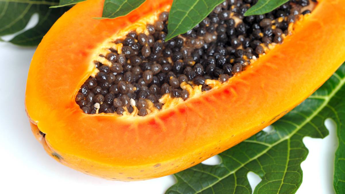¿Conoces los beneficios de las semillas de papaya? Aquí te contamos
