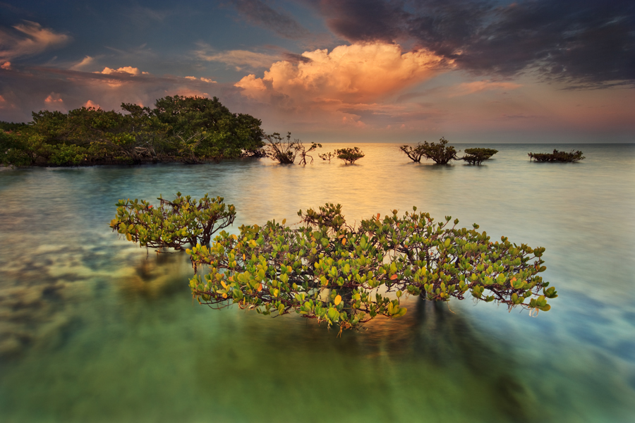 Explora el encanto de Biscayne National Park, un histórico paraíso natural cerca de Miami