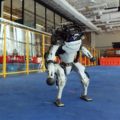 Robots dominarán al mundo: Boston Dynamics impresiona a todos con su prototipo