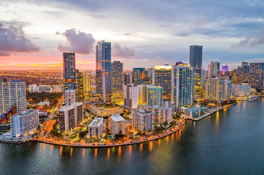 Edificios de Miami, un obstáculo mortal para las aves migratorias