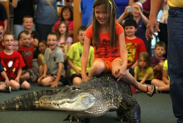 Bubba, el caimán de apoyo emocional que ayuda a niños autistas en Florida