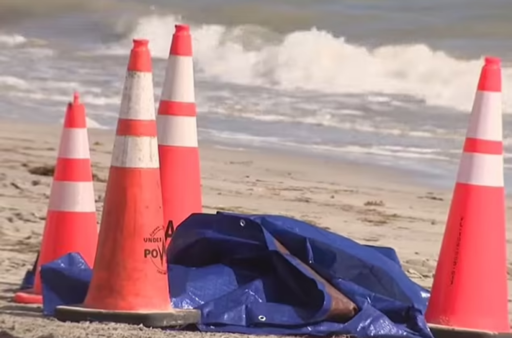 Encuentran cabeza humana a la orilla de una playa en Key Biscayne