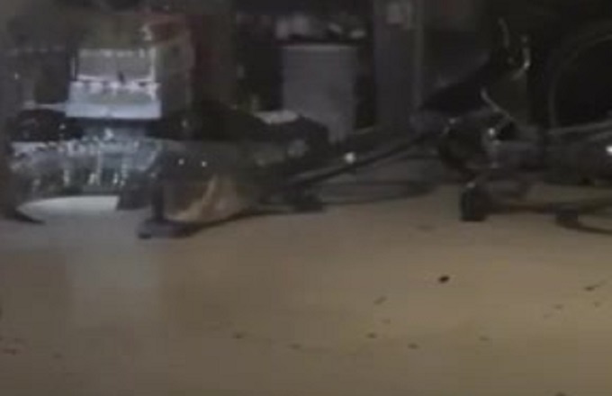 ¡Espeluznante! Pareja  residenciada en Florida encuentra caimán en el garaje de su casa